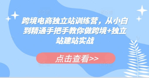 跨境电商独立站训练营，从小白到精通手把手教你做跨境+独立站建站实战